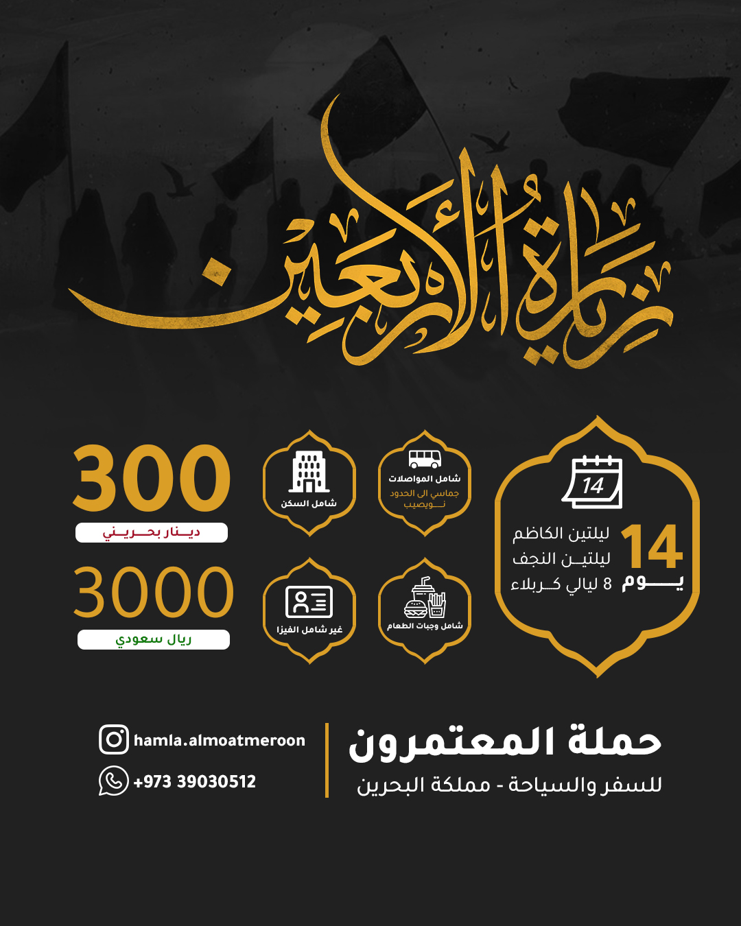 صورة المشروع 1